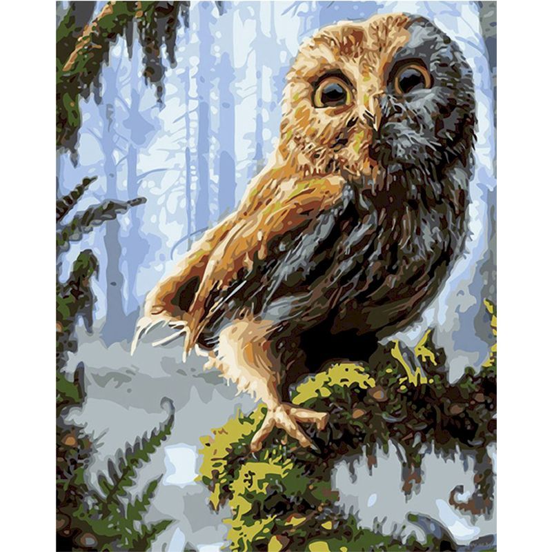 Oil Painting Painting Numbers (Owl Collection)