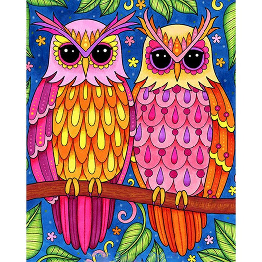 Oil Painting Painting Numbers (Owl Collection)