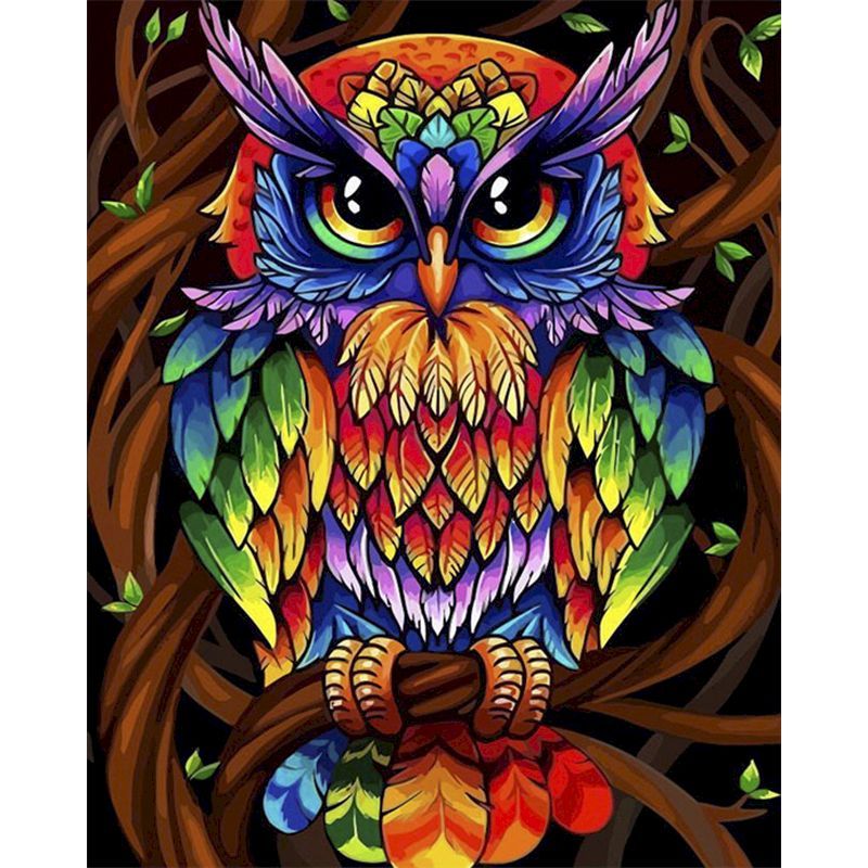 Oil Painting Painting Numbers (Owl Collection)